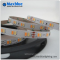 DC24V 112ledsm Dual White SMD5630 LED Strip Light